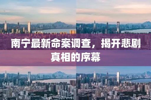 南宁最新命案调查，揭开悲剧真相的序幕