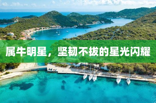 属牛明星，坚韧不拔的星光闪耀