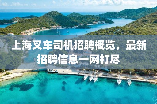 上海叉车司机招聘概览，最新招聘信息一网打尽