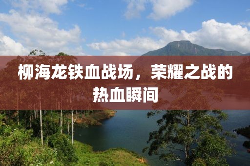 柳海龙铁血战场，荣耀之战的热血瞬间
