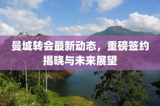 曼城转会最新动态，重磅签约揭晓与未来展望