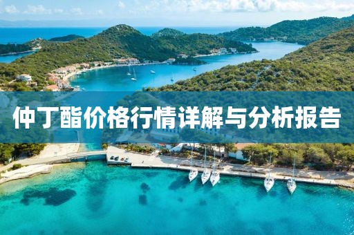 仲丁酯价格行情详解与分析报告