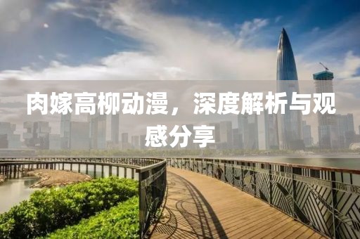 肉嫁高柳动漫，深度解析与观感分享