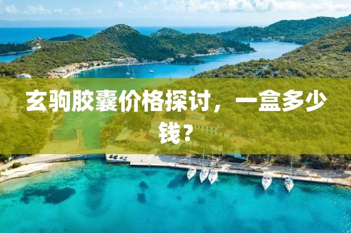 玄驹胶囊价格探讨，一盒多少钱？