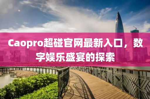 Caopro超碰官网最新入口，数字娱乐盛宴的探索