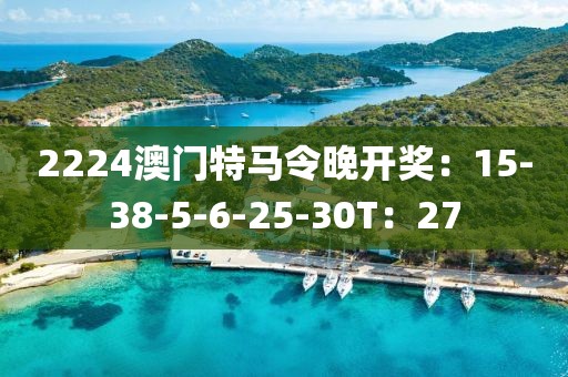 2224澳门特马令晚开奖：15-38-5-6-25-30T：27