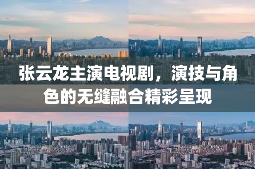 张云龙主演电视剧，演技与角色的无缝融合精彩呈现