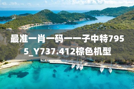 最准一肖一码一一子中特7955_Y737.412棕色机型