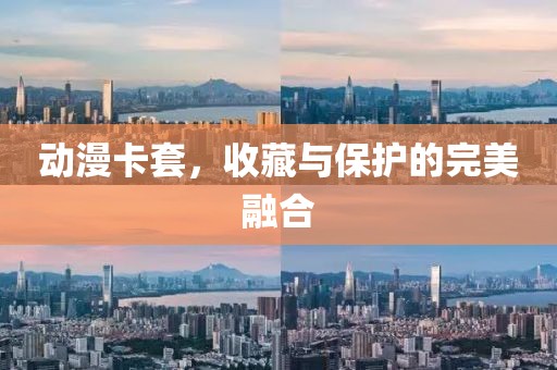 动漫卡套，收藏与保护的完美融合
