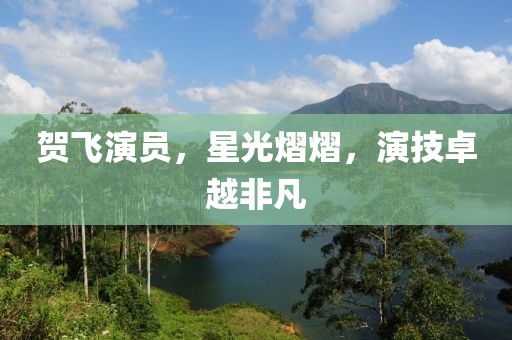 贺飞演员，星光熠熠，演技卓越非凡