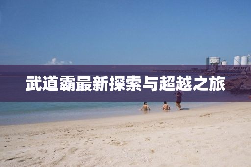 武道霸最新探索与超越之旅