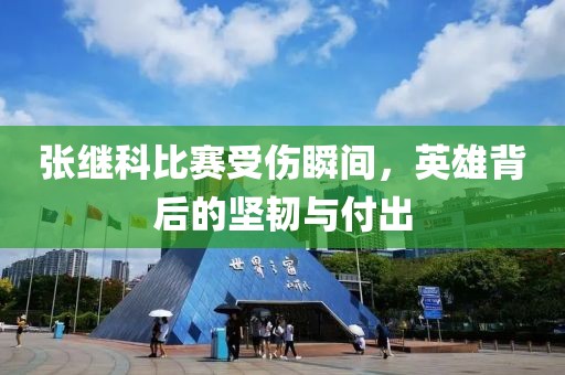 张继科比赛受伤瞬间，英雄背后的坚韧与付出