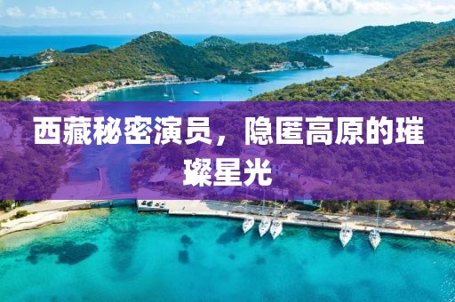西藏秘密演员，隐匿高原的璀璨星光