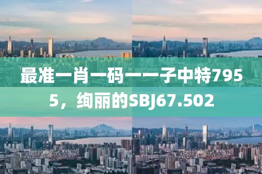最准一肖一码一一子中特7955，绚丽的SBJ67.502