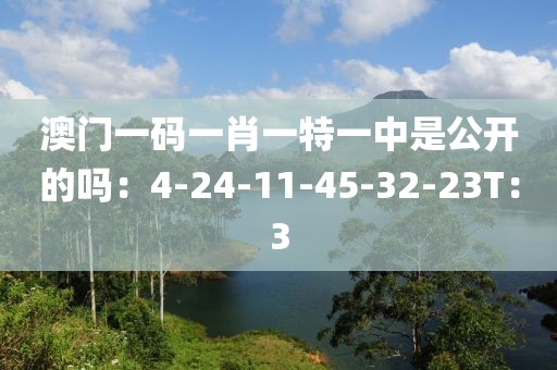 澳门一码一肖一特一中是公开的吗：4-24-11-45-32-23T：3
