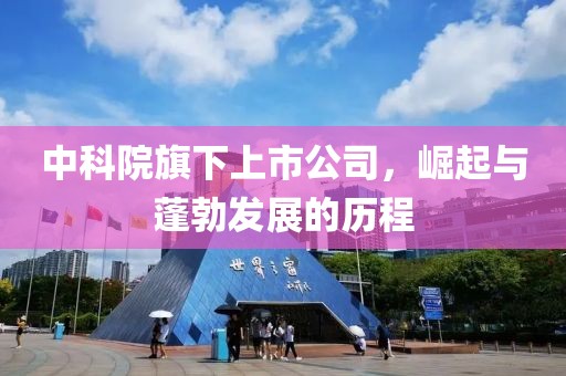 中科院旗下上市公司，崛起与蓬勃发展的历程