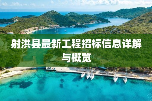 射洪县最新工程招标信息详解与概览