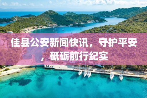 佳县公安新闻快讯，守护平安，砥砺前行纪实