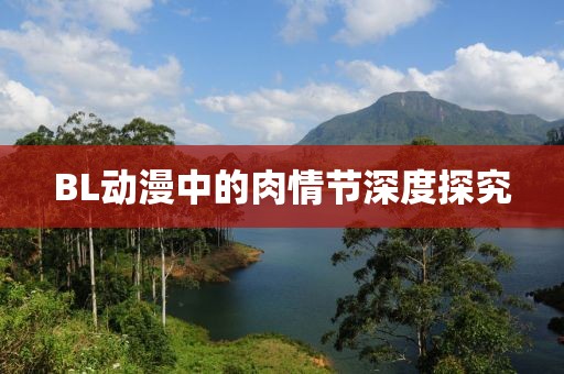 BL动漫中的肉情节深度探究
