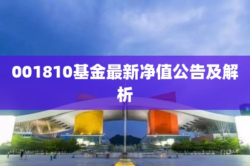 001810基金最新净值公告及解析