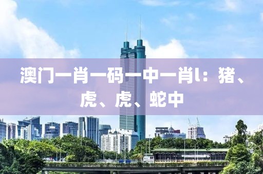 澳门一肖一码一中一肖l：猪、虎、虎、蛇中