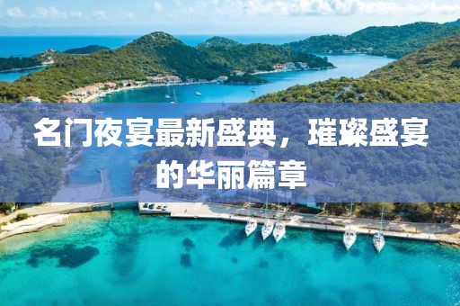 名门夜宴最新盛典，璀璨盛宴的华丽篇章