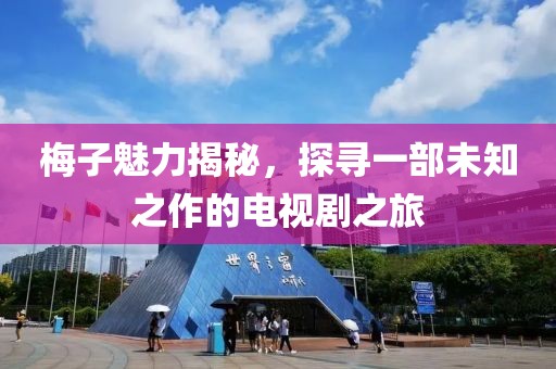 梅子魅力揭秘，探寻一部未知之作的电视剧之旅