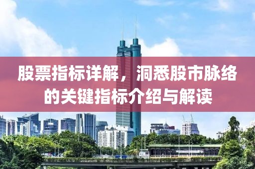 股票指标详解，洞悉股市脉络的关键指标介绍与解读