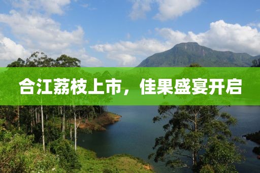 合江荔枝上市，佳果盛宴开启