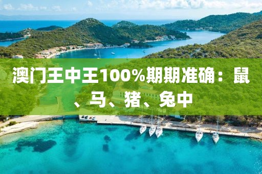 澳门王中王100%期期准确：鼠、马、猪、兔中