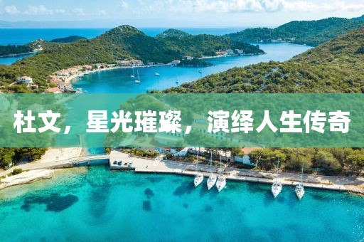 杜文，星光璀璨，演绎人生传奇