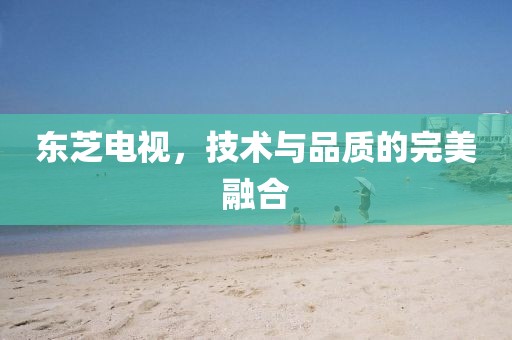 东芝电视，技术与品质的完美融合