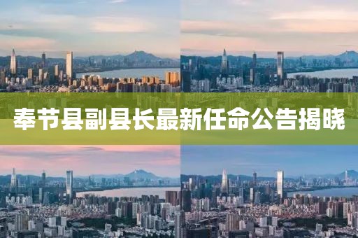 斑斓华裳 第5页