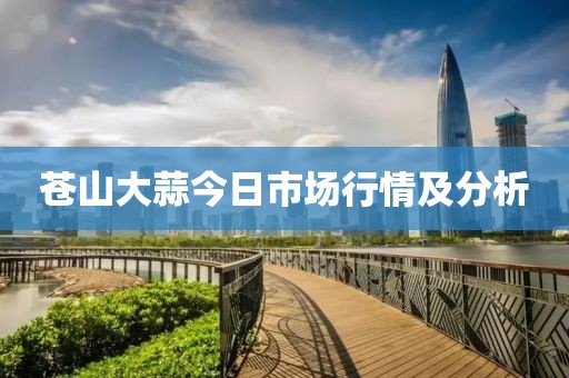 苍山大蒜今日市场行情及分析