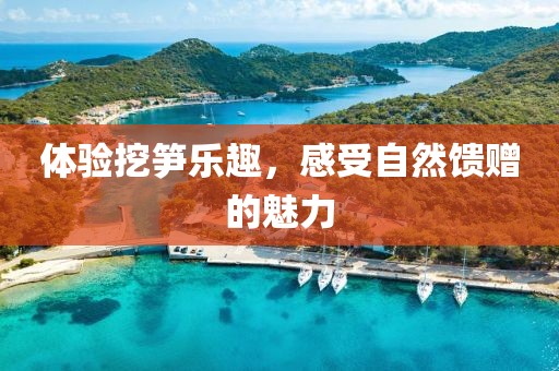 体验挖笋乐趣，感受自然馈赠的魅力