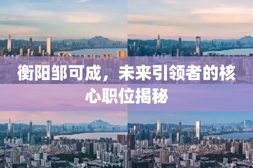 衡阳邹可成，未来引领者的核心职位揭秘
