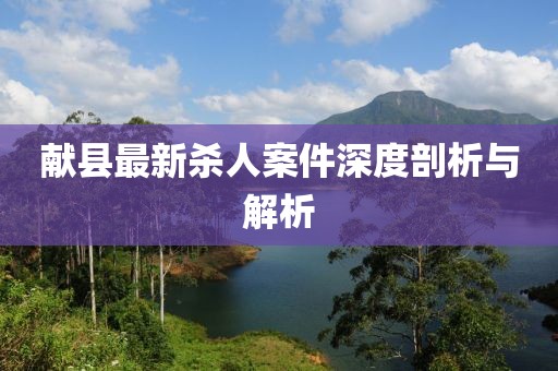献县最新杀人案件深度剖析与解析