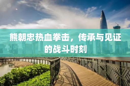 熊朝忠热血拳击，传承与见证的战斗时刻