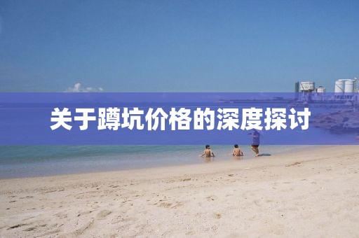 关于蹲坑价格的深度探讨