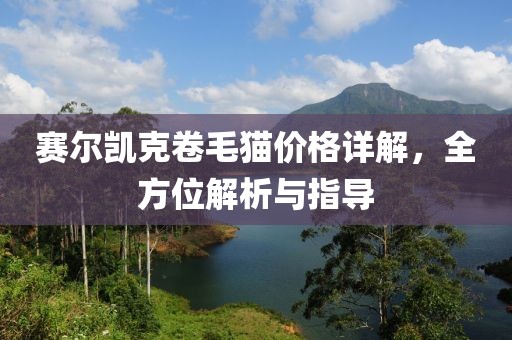 赛尔凯克卷毛猫价格详解，全方位解析与指导