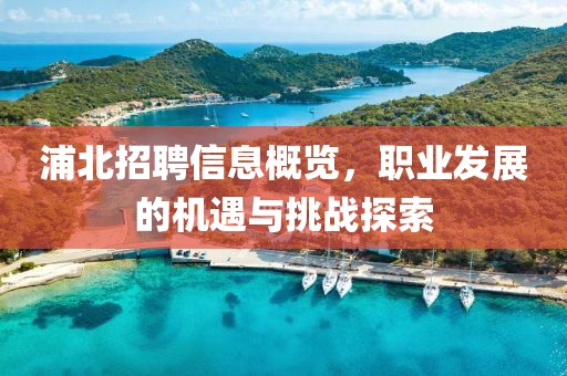 浦北招聘信息概览，职业发展的机遇与挑战探索