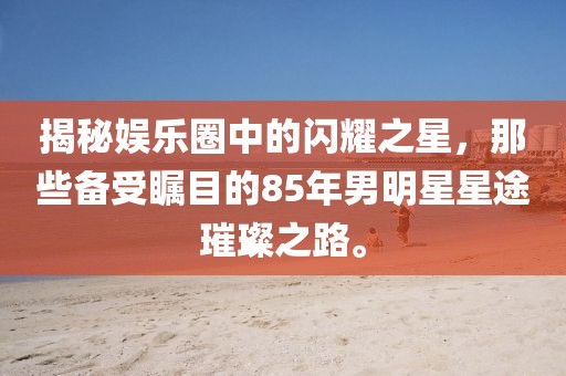 揭秘娱乐圈中的闪耀之星，那些备受瞩目的85年男明星星途璀璨之路。