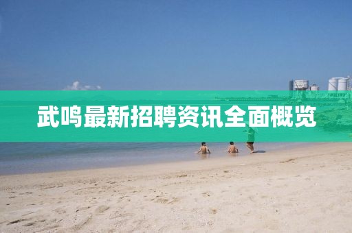 武鸣最新招聘资讯全面概览