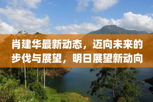 肖建华最新动态，迈向未来的步伐与展望，明日展望新动向