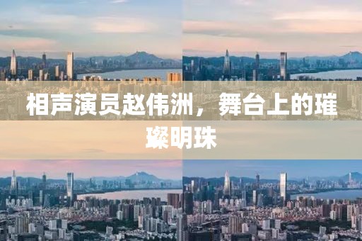相声演员赵伟洲，舞台上的璀璨明珠