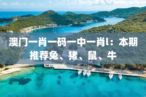 澳门一肖一码一中一肖l：本期推荐兔、猪、鼠、牛