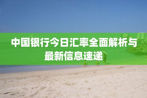 中国银行今日汇率全面解析与最新信息速递