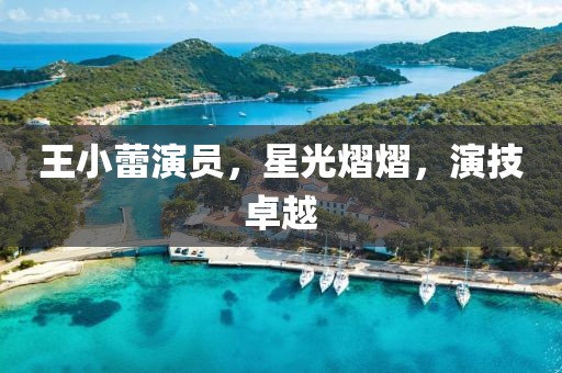 王小蕾演员，星光熠熠，演技卓越