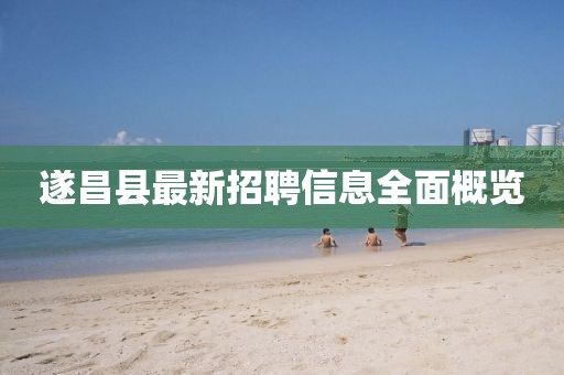 遂昌县最新招聘信息全面概览