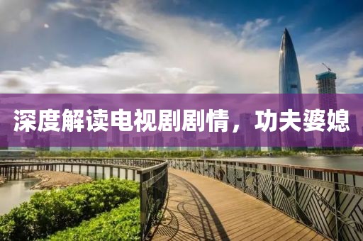 深度解读电视剧剧情，功夫婆媳